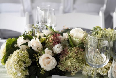 weddings